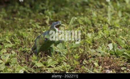 placez le portrait du dinosaure sur un fond vert naturel Banque D'Images