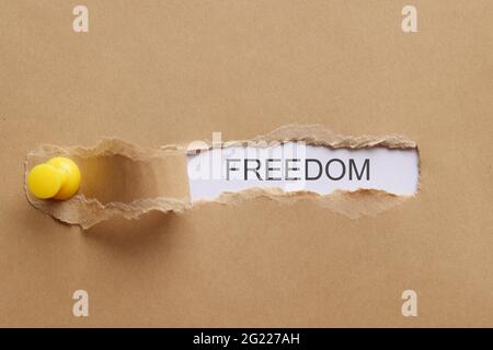 La liberté de mot est écrite sur un morceau de papier déchiré Banque D'Images