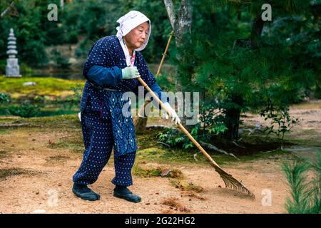 Kyoto, Japon - 20 novembre 2018 : corps complet d'une femme japonaise senior en uniforme de jardinier balai en bois pour nettoyer les feuilles sèches sur le sol du jardin su Banque D'Images