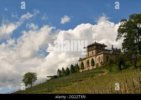 Villa de vacances au sommet d'une colline de vignoble dans la région viticole de Langhe, site classé au patrimoine mondial de l'UNESCO, au printemps, Barbaresco, Cuneo, Piémont, Italie Banque D'Images