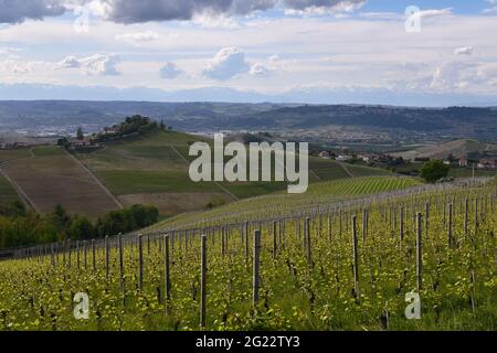 Vue panoramique sur les collines des vignobles de Langhe, site classé au patrimoine mondial de l'UNESCO, dans une journée de printemps nuageux, Treiso, province de Cuneo, Piémont, Italie Banque D'Images