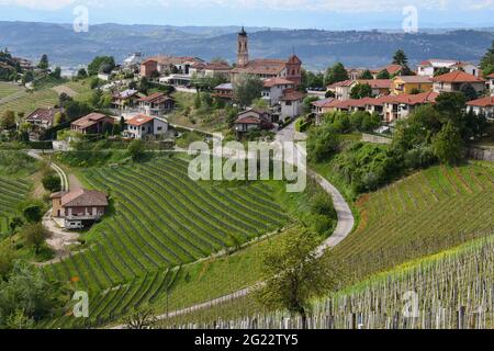 Vue panoramique sur le vieux village de Treiso au sommet d'une colline de vignoble dans la région viticole de Langhe, site classé au patrimoine mondial de l'UNESCO, Cuneo, Piémont, Italie Banque D'Images