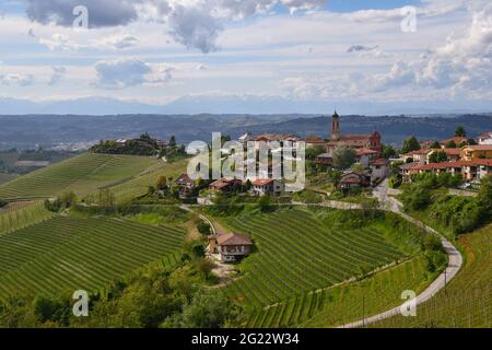 Vue panoramique sur le vieux village de Treiso au sommet d'une colline de vignoble dans la région viticole de Langhe, site classé au patrimoine mondial de l'UNESCO, Cuneo, Piémont, Italie Banque D'Images