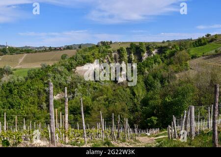 Vue panoramique d'une 'Rocca' (roche), le résultat d'un phénomène d'érosion géologique caractérisé par des gorges profondes, Treiso, Cuneo, Piémont, Italie Banque D'Images