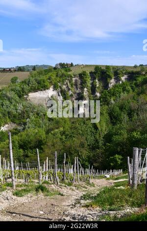 Vue panoramique d'une 'Rocca' (roche), le résultat d'un phénomène d'érosion géologique caractérisé par des gorges profondes, Treiso, Cuneo, Piémont, Italie Banque D'Images