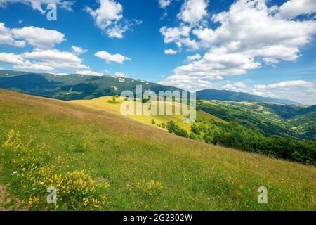 prairie herbacée dans les montagnes. paysage naturel merveilleux. jour d'été ensoleillé. nuages sur le ciel Banque D'Images