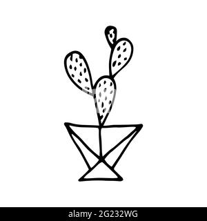 Doodle Cactus dans un pot à facettes. Mignon succulent avec un pot de fleurs en polyéthylène. Contour noir d'une plante d'origine isolée sur un fond blanc Illustration de Vecteur