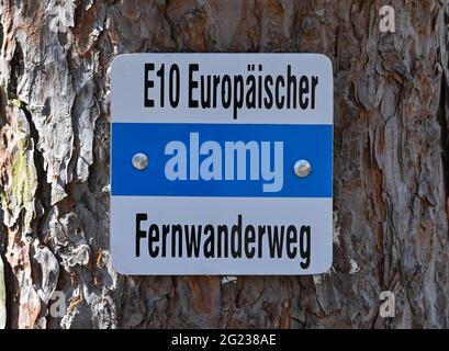 Trebbin, Allemagne. 07e juin 2021. Un marqueur de randonnée de la E10 European long distance Trail sur un arbre dans le district de Teltow-Fläming. Credit: Patrick Pleul/dpa-Zentralbild/ZB/dpa/Alay Live News Banque D'Images