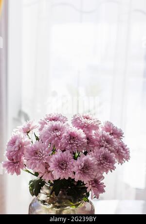 Un bouquet de chrysanthèmes gris est placé sur la table dans un vase en verre gris sur fond clair Banque D'Images