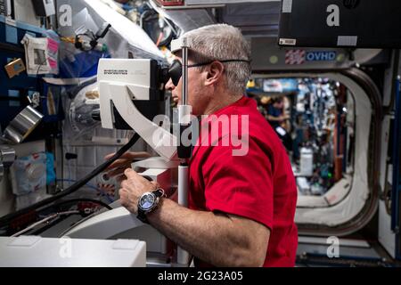 L'astronaute de la NASA Mark Vande Hei se concoure à des appareils d'imagerie médicale à infrarouge proche, ou tomographie par cohérence optique, pour des vues détaillées de sa rétine dans le cadre de contrôles oculaires réguliers à bord de la Station spatiale internationale. Les astronautes vérifient périodiquement leurs yeux en raison d'un phénomène connu sous le nom de syndrome Neuro-oculaire associé à l'espace (SSANS). Les symptômes comprennent l'enflure dans le disque optique, où le nerf optique entre dans la rétine et l'aplatissement de la forme de l'œil. Quand les chercheurs ont regardé en arrière, ils ont trouvé certains aspects de SANS même dans les premiers vols spatiaux. NASA/UPI Banque D'Images