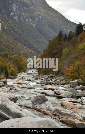 Village ville près de la rivière Maggia à la vallée des Alpes suisses, Ticino Valle Maggia, Maggiatal entre les montagnes et les arbres d'automne Banque D'Images