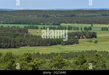 Trebbin, Allemagne. 07e juin 2021. Vue depuis la tour d'observation sur le paysage boisé dans le quartier de Teltow-Fläming. Depuis 2012, il y a une tour d'observation dans le quartier Trebbin de Löwendorf. Depuis la tour de 22 mètres de haut sur le Löwendorfer Berg de 103 mètres de haut, les visiteurs ont une vue magnifique sur la campagne environnante, jusqu'à la capitale fédérale Berlin et la capitale de l'État Potsdam. Credit: Patrick Pleul/dpa-Zentralbild/ZB/dpa/Alay Live News Banque D'Images