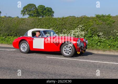 1966, 60s rouge Austin Healey 2912cc essence, en route pour le spectacle de voiture classique Capesthorne Hall, Cheshire, Royaume-Uni Banque D'Images