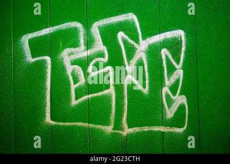 Graffiti coloré représentant le mot vie spray peint sur une porte en bois vert. Banque D'Images