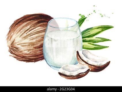 Verre de lait de coco avec feuilles de noix de coco et de vert. Illustration aquarelle dessinée à la main, isolée sur fond blanc Banque D'Images