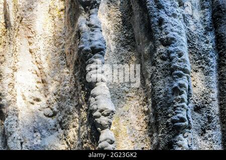 Détails des formations rocheuses dans les grottes de Jenolan, près de Sydney, en Australie Banque D'Images