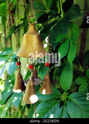 Sonnette de porte en laiton authentique sur fond de feuilles vertes d'un raisin de jeune fille. Photographie mobile. Illustration pour la saison estivale du jardinage. Banque D'Images