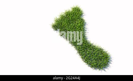 Concept ou conceptuel vert pelouse été symbole herbe forme isolé fond blanc, signe d'une pieds nus. métaphore de l'illustration 3d pour la nature, la santé Banque D'Images