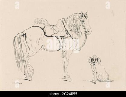 Cheval et chien échantillonnés. Etude d'un cheval à cheval avec une bride et un chien assis. Banque D'Images