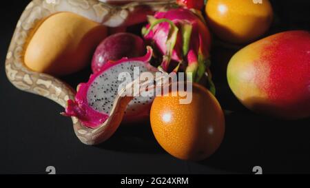Photo de python rampant et de fruits exotiques Banque D'Images