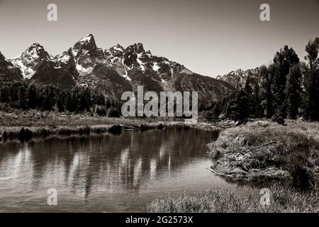 Photographie en noir et blanc de Schwabacher's Landing avec reflet de la chaîne de montagnes du Grand Teton sur l'eau plate de la rivière Snake, à Jackson Hole, en Wyoming. Banque D'Images