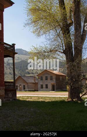 Photographie verticale d'un grand arbre, d'une cabane en rondins et d'un bâtiment en bois de deux étages, d'une montagne et d'un ciel bleu dans la ville fantôme de Bannack, Montana. Banque D'Images