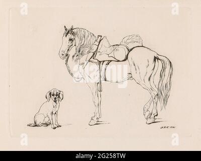 Un cheval et un chien. Etude d'un cheval à cheval avec une bride et un chien assis. Banque D'Images