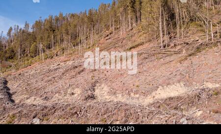 Vue aérienne des forêts indigènes récemment décortiquées par Natural Resources Wales, autour du réservoir Llyn Brianne Banque D'Images