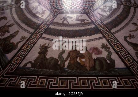 Sol mosaïque romaine dans la salle du Pavillon, le Musée de l'Ermitage, Saint-Pétersbourg, Russie. Banque D'Images