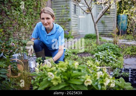 Portrait de la femme mature Paysage jardinier plantant des plantes dans le jardin Banque D'Images