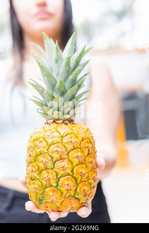 Gros plan vertical avec mise au point sélective d'un ananas tenu par une femme dans la main. Fruit et concept de vacances Banque D'Images