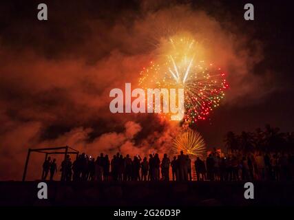 Une foule de gens regardent UN feu d'artifice haut en couleur Banque D'Images