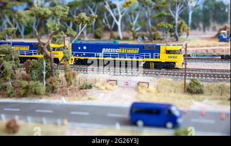 Pacific National trains sur un modèle de chemin de fer Banque D'Images