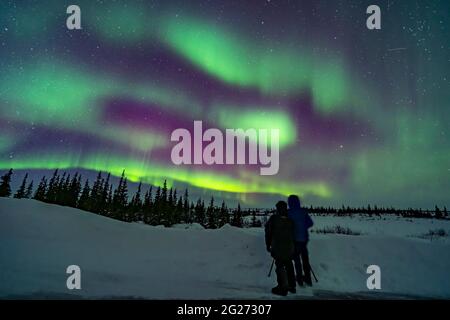 Un couple regardant les lumières du Nord au Canada. Banque D'Images