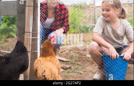 Fille nourrissant des poulets dans la maison de poule - aider les parents Banque D'Images