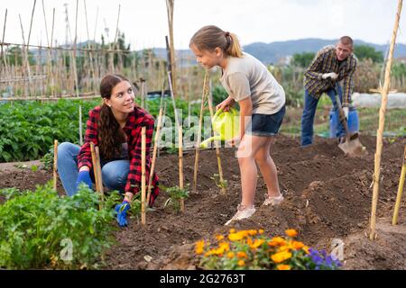 Fille aide maman à arroser les plantes d'un arrosoir dans le champ de ferme Banque D'Images