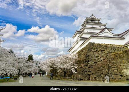 Fukushima, Japon - 2018 avril 15 : les touristes marchent pour voir les cerisiers en fleur au château de Tsuruga-JO ou au château de Wakamatsu dans la ville d'Aizu-Wakamatsu. i Banque D'Images