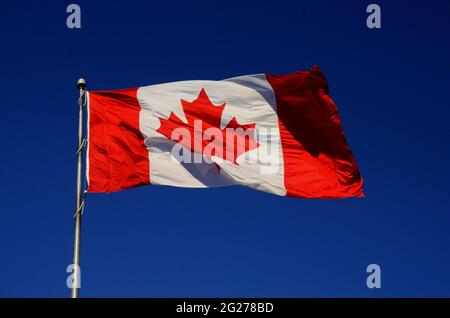 DRAPEAU NATIONAL DE LA FEUILLE D'ÉRABLE DU CANADA; DRAPEAUX Banque D'Images