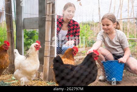 Petite fille avec sa mère nourrissant la poule dans un stylo de poulet Banque D'Images