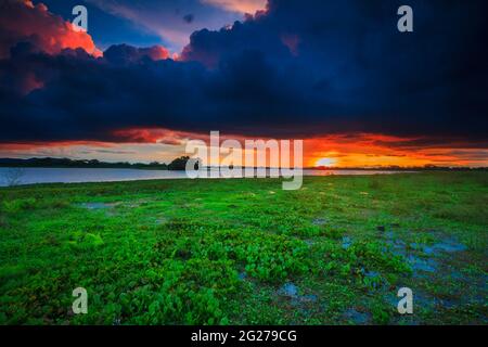 Ciel coloré au coucher du soleil au bord du lac de Refugio de vida Silvestre Cienage las Macanas réserve naturelle, province de Herrera, République du Panama. Banque D'Images