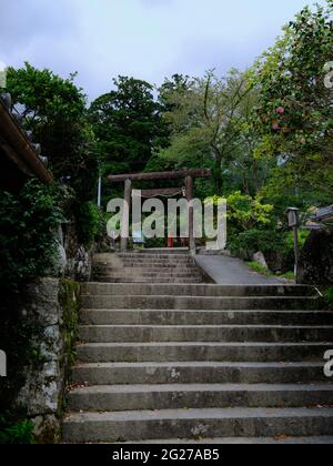 Entrée au piste de Daimonzaka, préfecture de Wakayama, Japon Banque D'Images