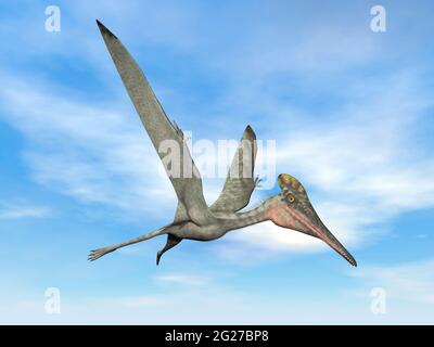 Pterodactylus oiseau préhistorique volant dans le ciel bleu. Banque D'Images