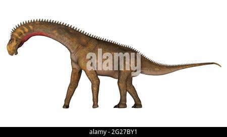 Mierasaurus à pied de dinosaure, vue latérale isolée sur fond blanc. Banque D'Images