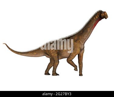 Mierasaurus à pied de dinosaure, vue latérale isolée sur fond blanc. Banque D'Images