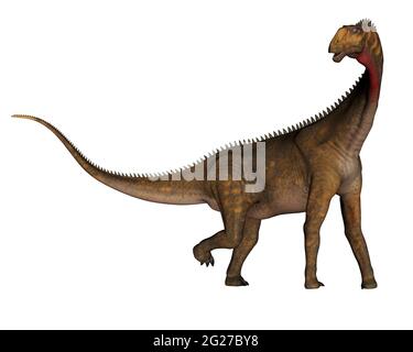 Mierasaurus à pied de dinosaure, vue latérale isolée sur fond blanc. Banque D'Images