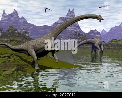 Diplodocus dinosaures broutant le long d'une rivière. Banque D'Images