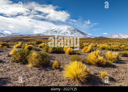 Volcan Lascar au Chili. Banque D'Images