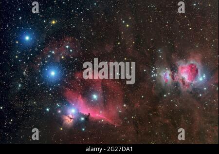 Vue sur le champ de vision de la ceinture d'Orion, Messier 42 et de la nébuleuse à tête de cheval. Banque D'Images