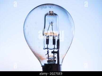 Vue des bobines de filament et de l'intérieur d'une ampoule halogène. Les ventes de lampes halogènes seront interdites à partir de septembre, avec des lampes fluorescentes haute énergie pour suivre, dans le cadre des plans climatiques du gouvernement. Date de la photo: Mardi 8 juin 2021. Banque D'Images