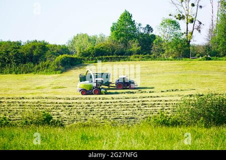 Deux véhicules agricoles récoltant du foin. Collecte du foin pour l'ensilage. Paysage vallonné et verdoyant. Banque D'Images